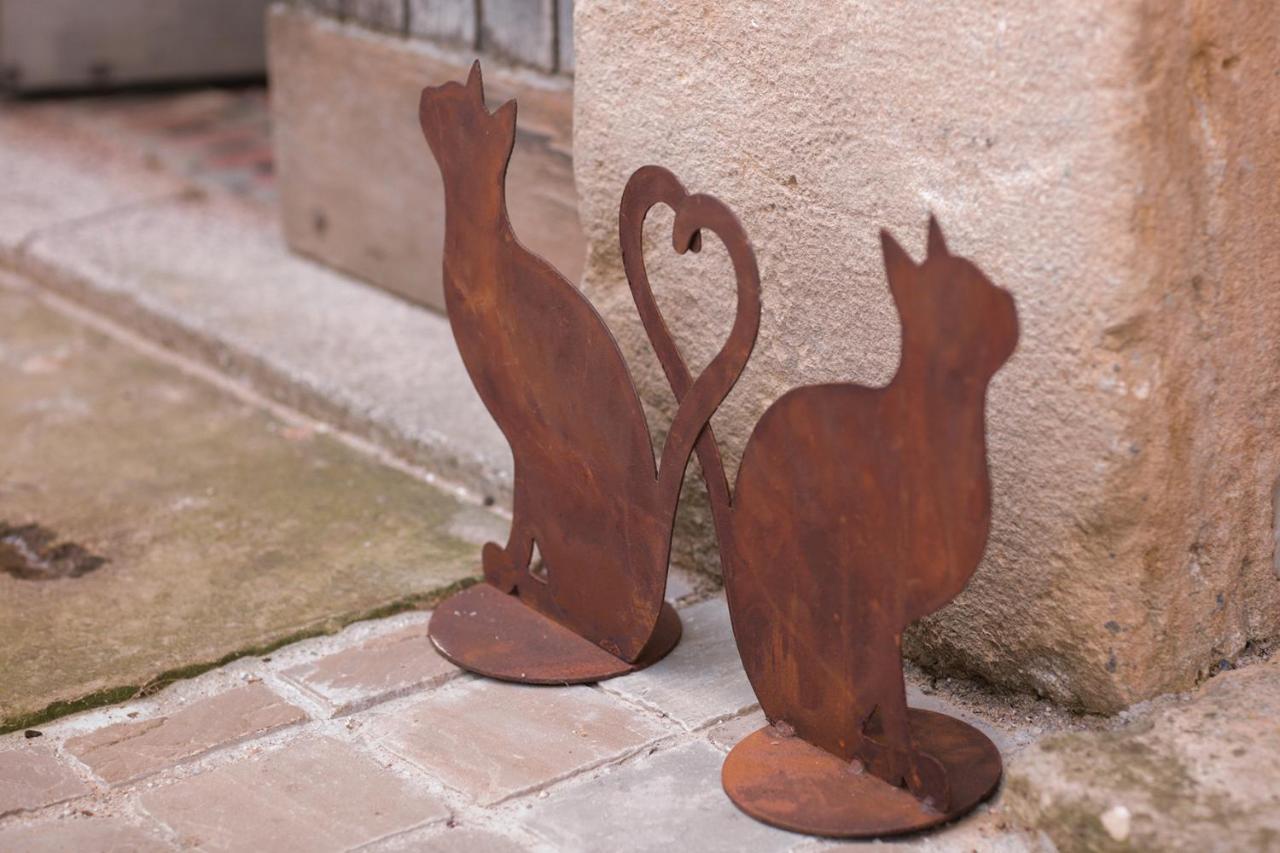 Les Chambres Du Chat Sainte-Cécile Εξωτερικό φωτογραφία